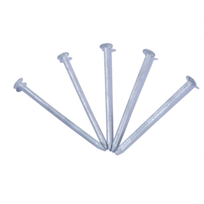 Polished Common Round Nail Iron Wire Nails Common Round Nail