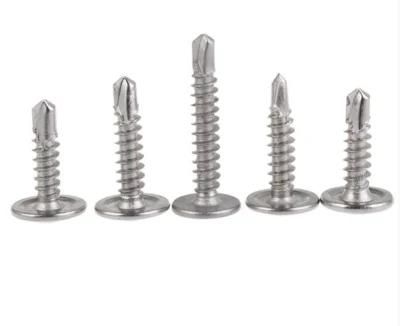 Tianjin GS Approved 3.5mm-6.5mm Wood Screw/Roofing Screw/Machine Screw/Tornillo Self Tapping Screw