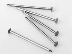 Black /Galvanized Zinc Common Nail Carbon Steel Wire