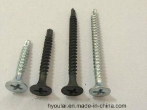 Drywall Screw Self Tapping Phillips C1022 Gypsum Board Screw Black Phosphated Self Drilling Screw