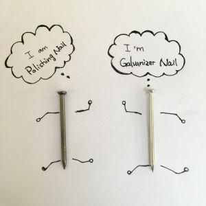 Polishing/ Galvanized Steel Iron Nails