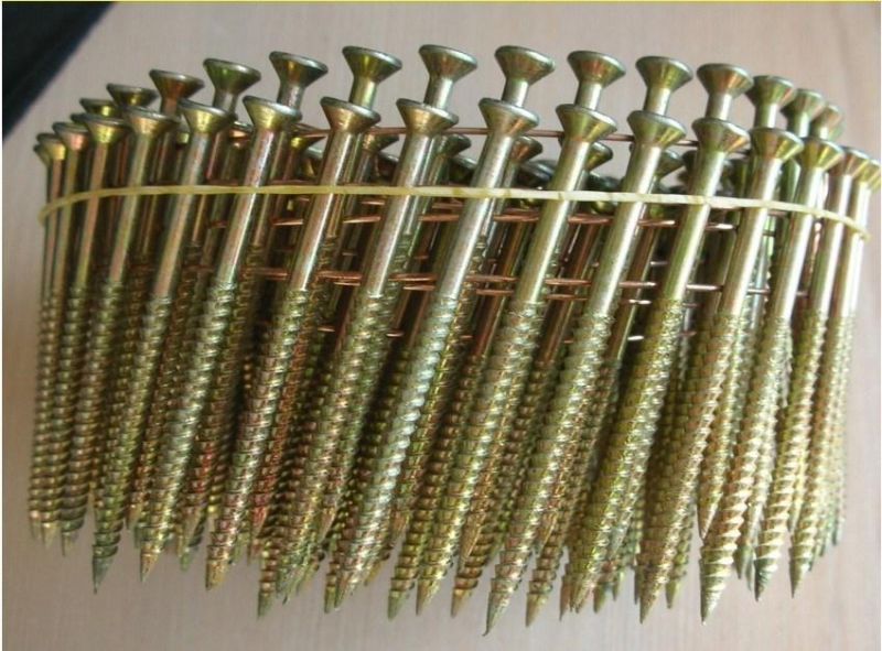Zinc Pneumatic Torx Head Wire Collated Screw for Furnituring, Industries