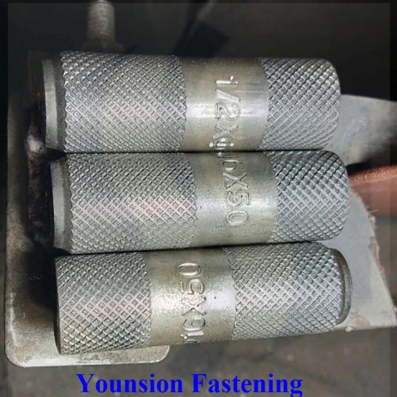 A2 A4 Stainless Steel Galvanized Drop in Anchor Expansion Anchor Bolt