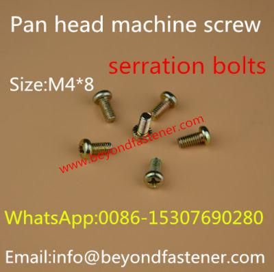 Screw/Serration Screw/ Special Bolts Slot Screw/Fastener