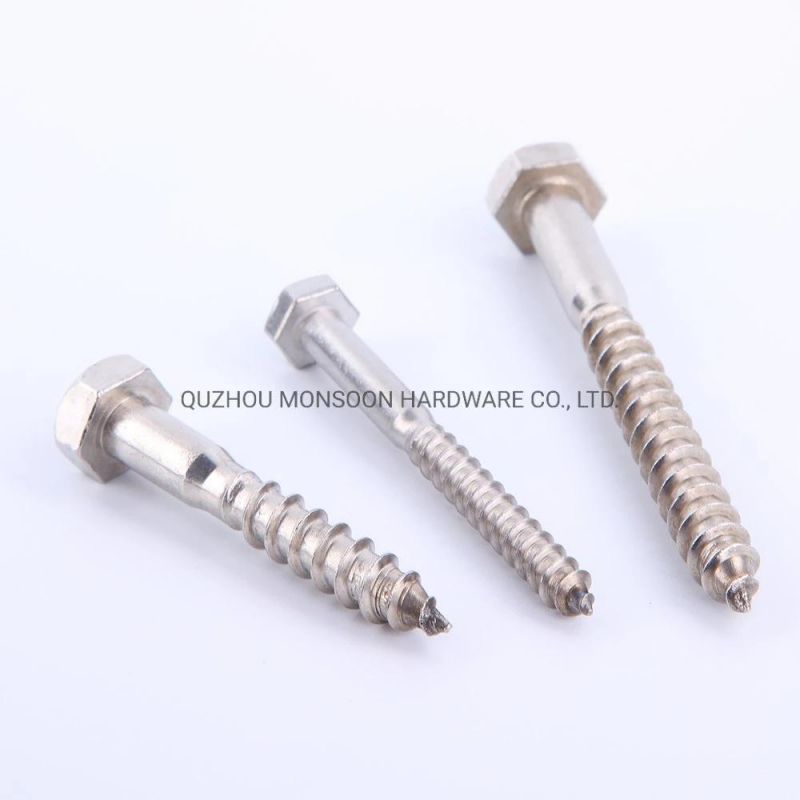 Stainless Steel Hexagonal Head Wood Screws Lag Screw Coach Screw