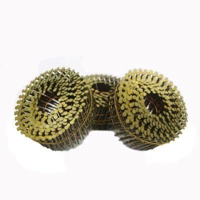 Color Paint Screw Coil Nail/Small Coil Nails for Pallet /Screw Nails Factory Directly Sale