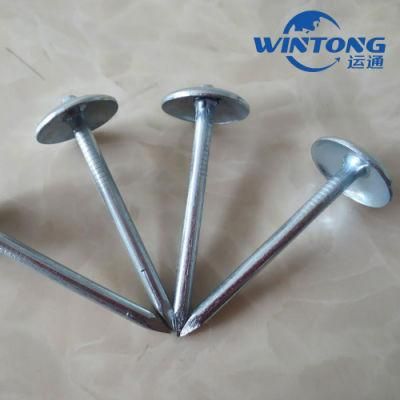 Umbrella Head Galvanized Roofing Nails with Rubber Washer