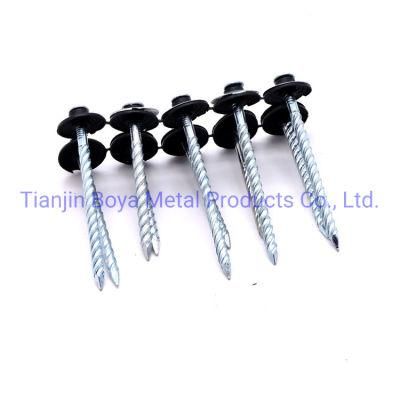 Galvanized Assemle Roofing Nail/Umbrella Nail/Pallet Nail/Iron Nail/Hardware/Building Nail