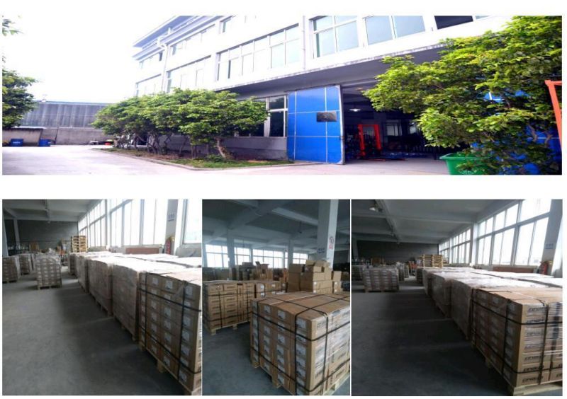 Stainless Steel Camlock Coupling Quick Couplings Hose Fitting Valve Parts
