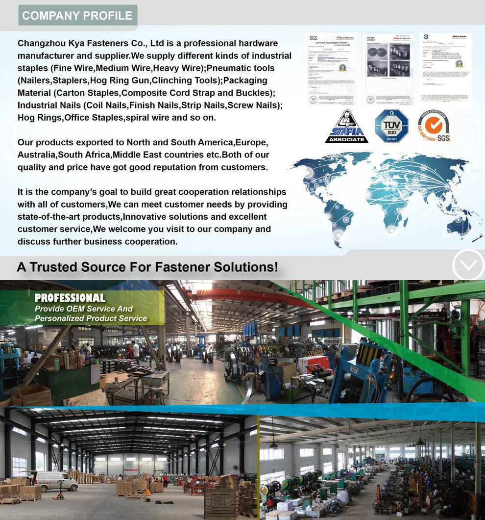 Zinc Pneumatic Philip Head Wire Collated Screw for Furnituring, Industries