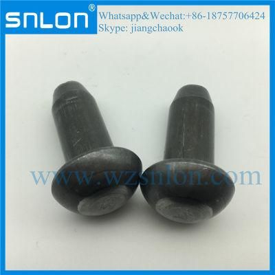 Big Round Head Rivet Blind Rivet with Chamfer Pin