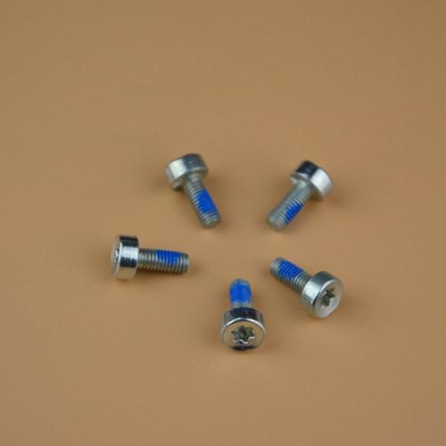 Special Screw Stud Bolts T-Bolt Double End Bolt Chain Saw Bolts