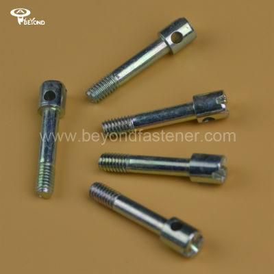 Sealing Screw/Sealing Bolts/Bolts/Hole Screw/Seal Screw