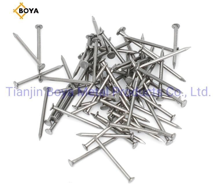 Construction Nails Common Iron Nail/Steel Nail/Polished Nail/Galvanized Nail/Hot Dipped Galvanised Nail