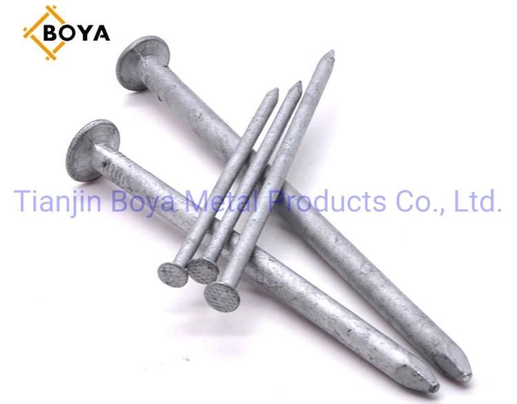Construction Nails Common Iron Nail/Steel Nail/Polished Nail/Galvanized Nail/Hot Dipped Galvanised Nail