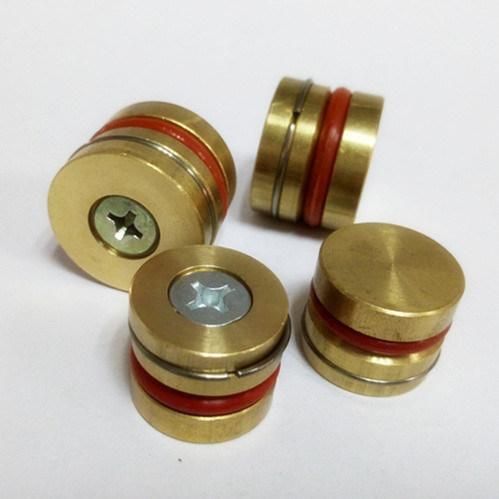Plastic Injection Mould Screw Brass Threadless Pressure Plug