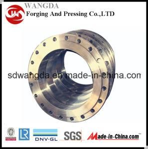 Manufacturer Supply Custom Forging Carbon Steel Flange