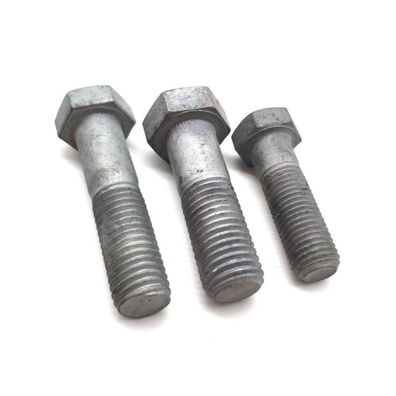 Alloy Steel HDG Black Oxide Carriage Bolt DIN 603 Mushroom Round Square Neck Head Bolt Coach Bolt Hex Head Bolt T Bolt U Bolt Toggle Bolt Anchor Bolt Screw Bolt