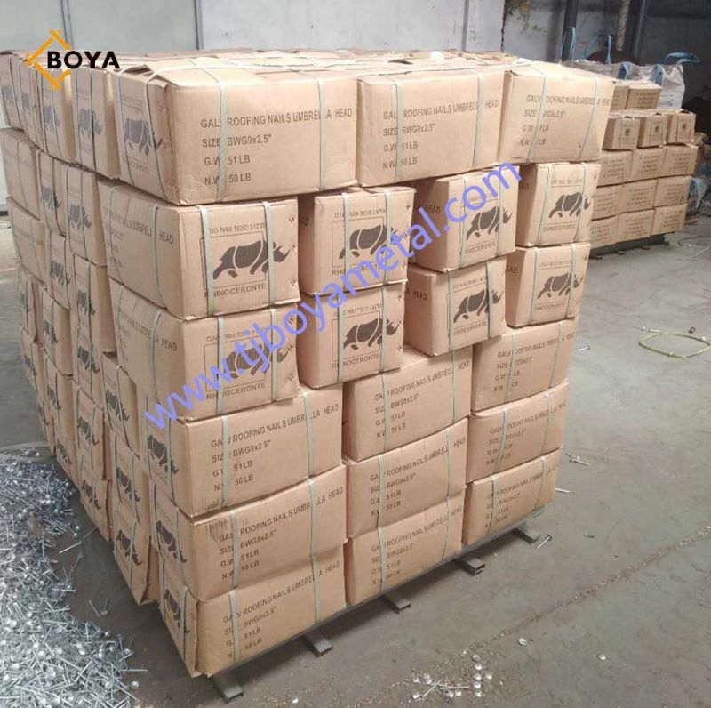 Large Head Galvanized Umbrella Roofing Nails/Concrete Nails/Common Nail Umbrella Nail Made in China