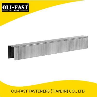 20ga 50f/T50 Galvanized Fine Wire Staples