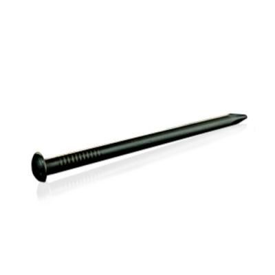 Black Smooth Pole Concrete Nail/Half Round Cap Round Nail Iron Nail