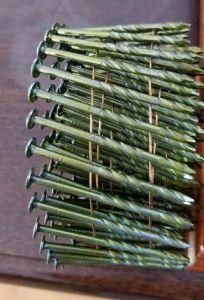 Coil Nails Screw Nail Wire Nail Ring Nail
