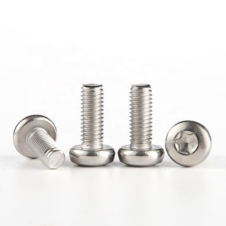 M4 M5 Stainless Steel SS304 Pan Head Torx Screw GB2672 Titanium Screw M3