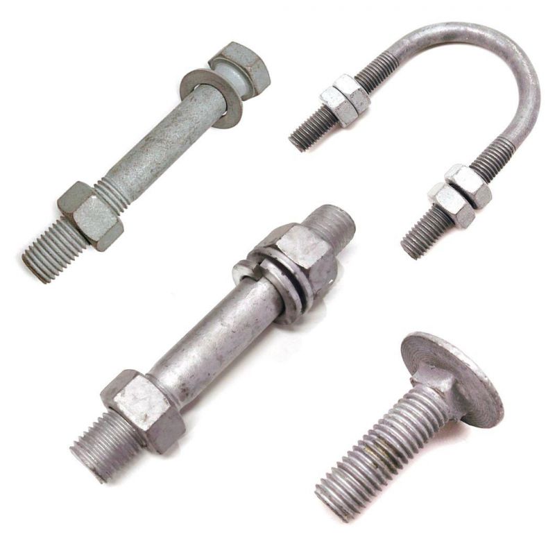 High Strength 4.8grade Galvanized L Type Anchor /Foundation Bolt