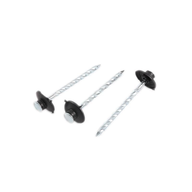 Umbrella Head Roofing Nail Roofing Steel Nails