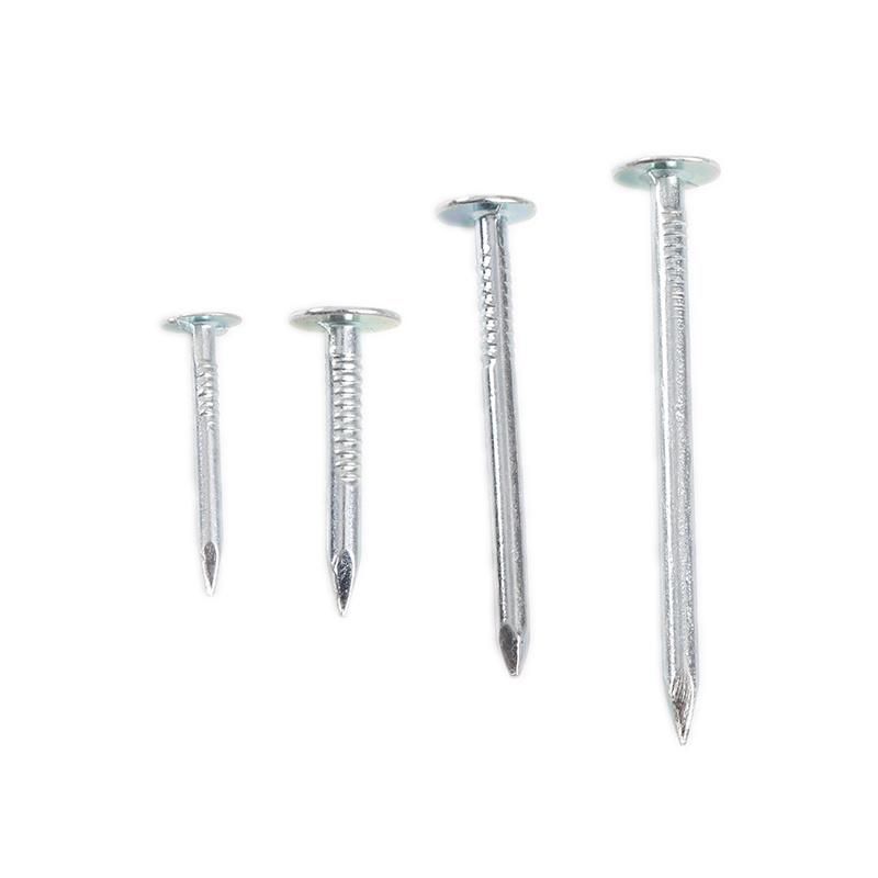 Hot Dipped Galvanized Clout Head Nail