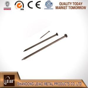 Common Round Iron Wire Nail Q195