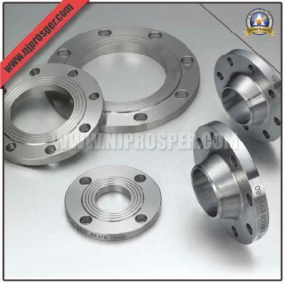 Stainless Steel ASME B16.5 Flanges (YZF-F216)