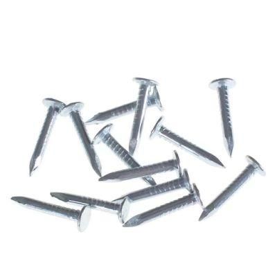 Rust and Corrosion Resistance High Quality Clout Nails Roofing Nails
