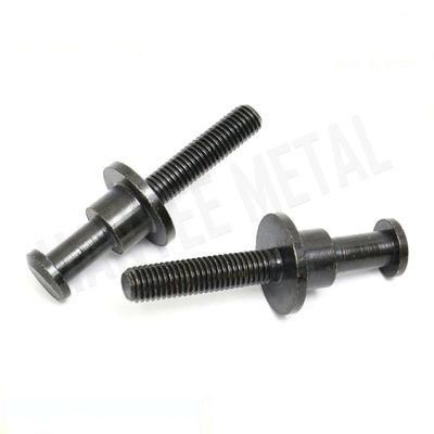 Hexagon Socket Head Black Machine Screws/Bolt