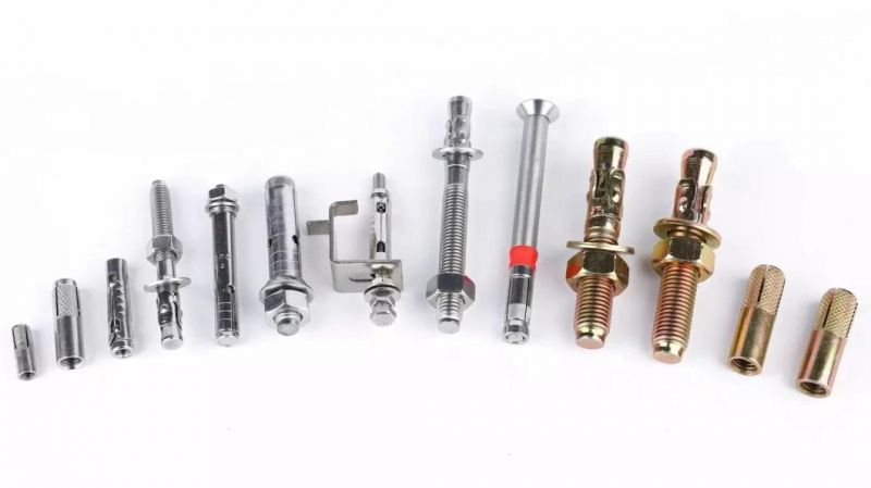 High Quality Stainless Steel Drop in Anchor for Concrete