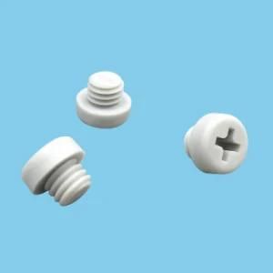 2016hot Sale High Quality Customized Nylon Screw Plastic Fasteners M6-4.1