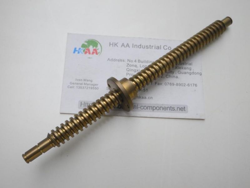 Custom CNC Machining Stainess Steel Lead Screw
