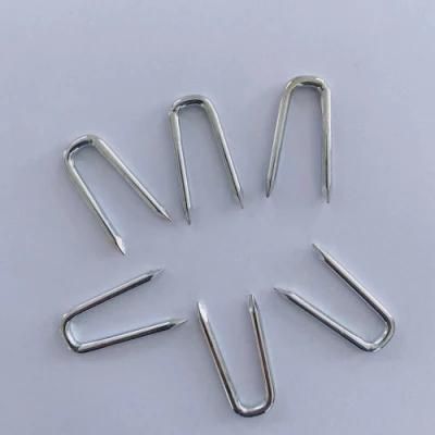 Diamond Point Galvanised U Staples Germany Market