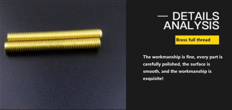 Brass Material of Thread Threaded Rod DIN975/DIN976 for M6X1 to M24X1