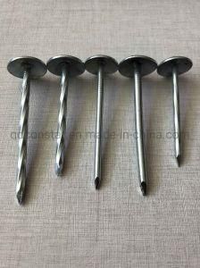Manufactured Umbrella Head Roofing Nails with Factory Price