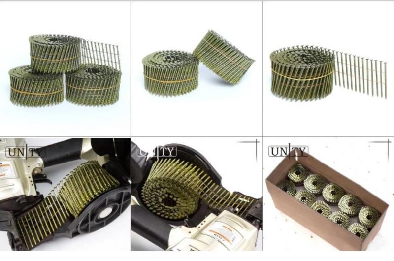 21*38 Screw Shank Coil Nails for Wooden Pallet and Furniture From China