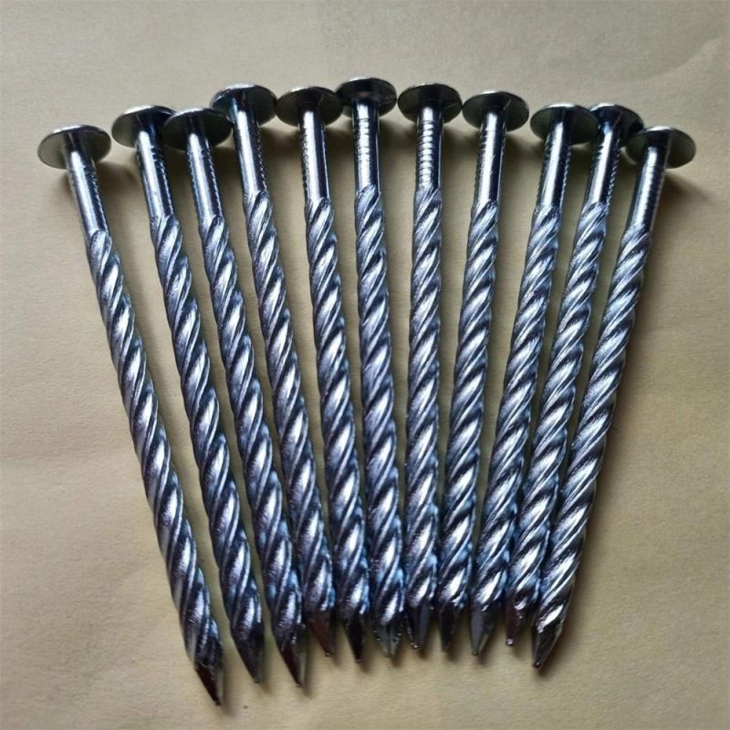 Galvanized Round Head Nail Twist Nail Expansion Screw