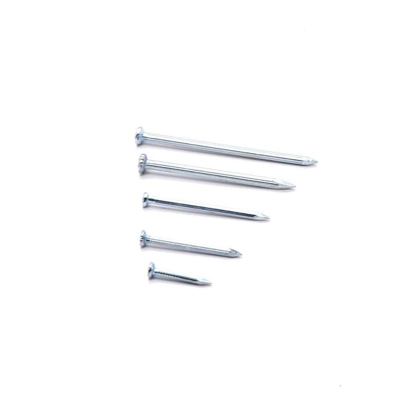 Factory Direct Sales Angular Spiral Steel Concrete Nails 4 Inch Concrete Nails1 Buyer