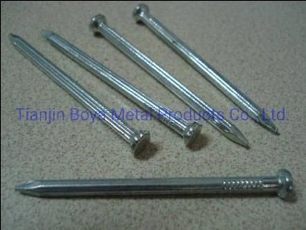 Best Quality Polished Common Nail for Construction