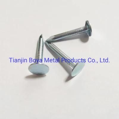 Zinc Coated Clout Nails for Construction