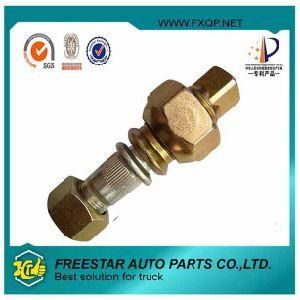 Fxd High Accuracy Lowest Price Supplier Types of Screws and Bolts for Actros