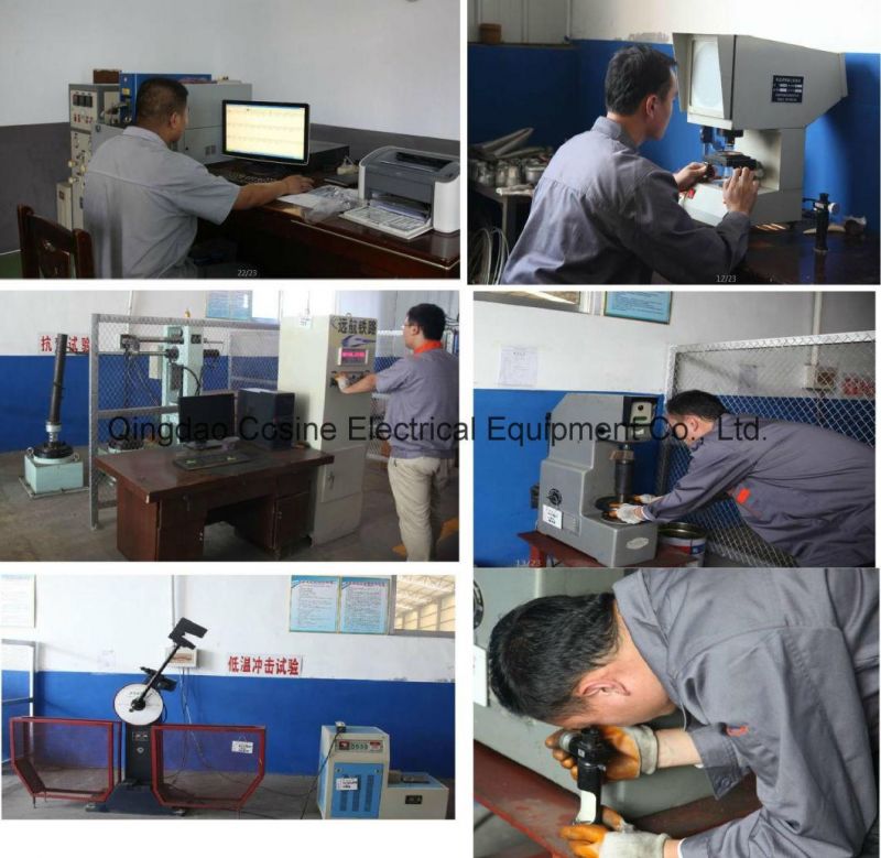Galvanized Spindle Insulator Pin/Line Post Insulator Pin/M16/M20