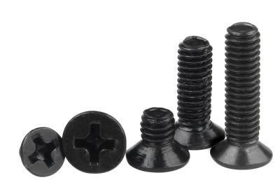 China Manufacturers Wholesale 3mm M4 3mm M2 M3 M4 M6 M8 Phillips Pan Head Screw Black Self Tapping Screws for Plastics