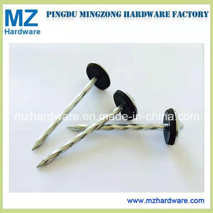 Galvanized Nail Umbrella Head Nail Roofing Nail with Rubber Washer