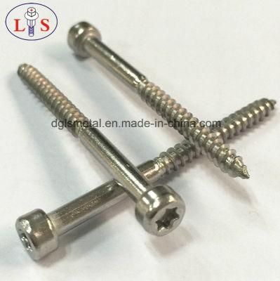 Stainless Steel Screw/Ss304 Torx Drive Self-Tapping Sscrew